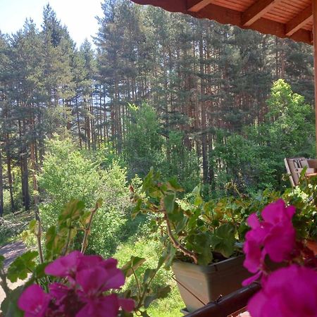 Райчевата Къща - Кюстендил Exteriér fotografie